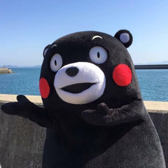 熊本熊不是熊？日本吉祥物因商标遭抢注而改名！